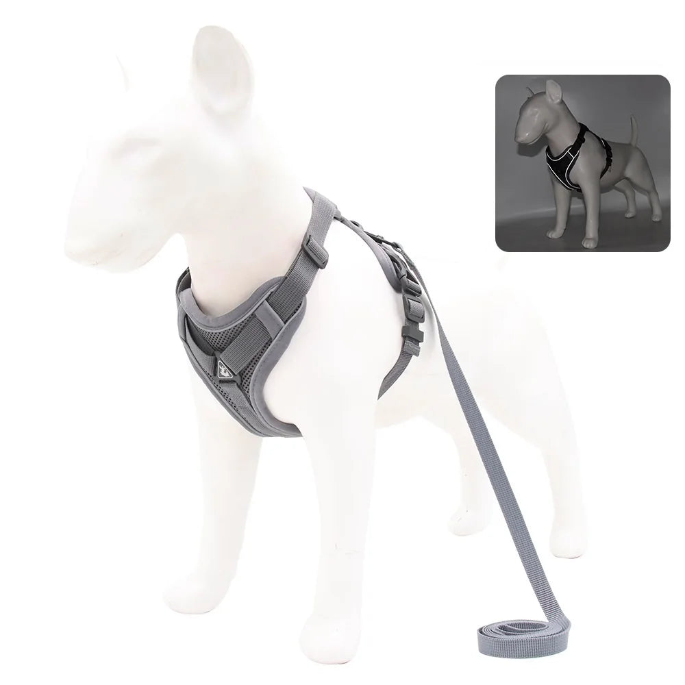 Dog Harness And Leash Set For Comfortable Walking And Reduced Pulling