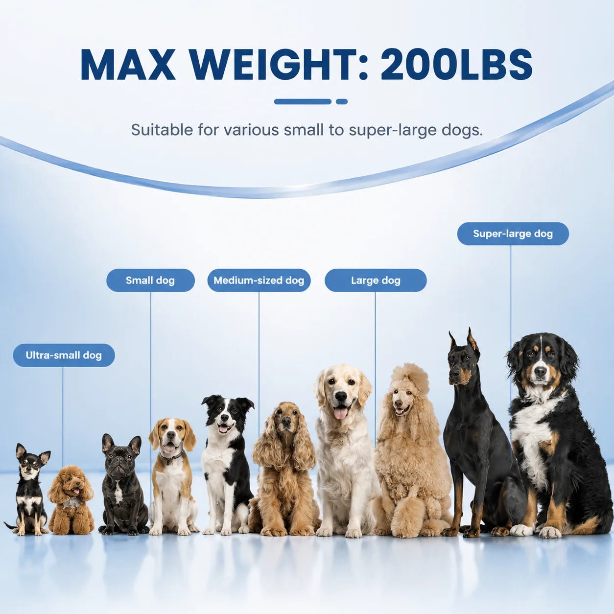 Inflatable Dog Ramp for Easy Water Access for Pets