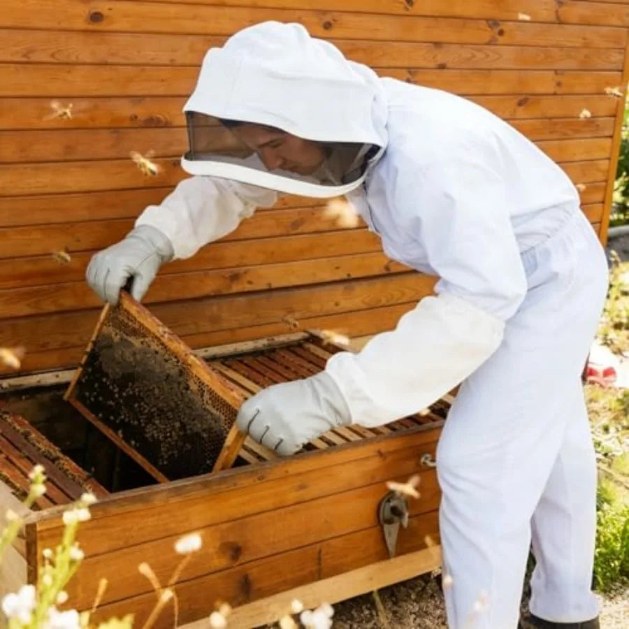 Blisstime 13Piece Beekeeping Starter Kit With Bee Suit And Smoker