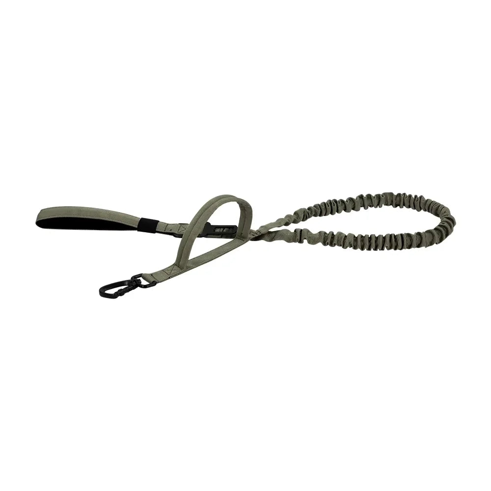 Retractable Dog Leash With Adjustable Elastic Rope And Dual Handles