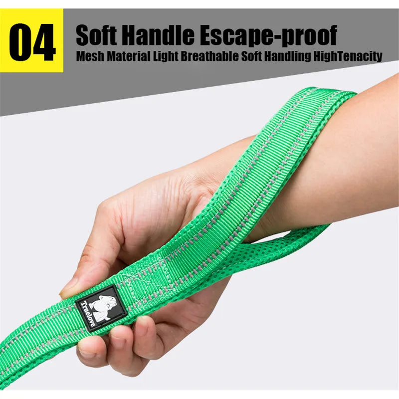 Soft Reflective Pet Leash of Nylon Mesh and Padded Handle for Safe and Comfortable Dog Walks