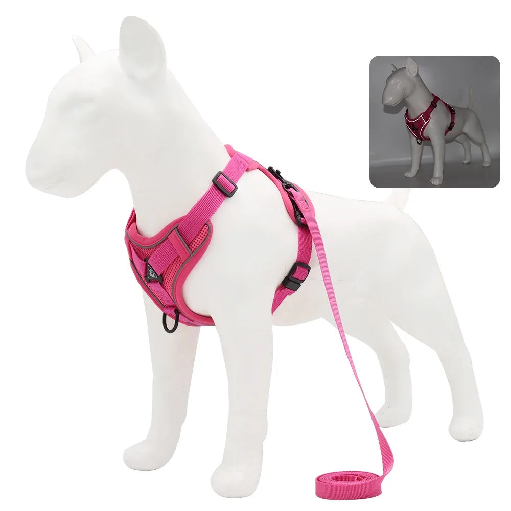 Dog Harness And Leash Set For Comfortable Walking And Reduced Pulling