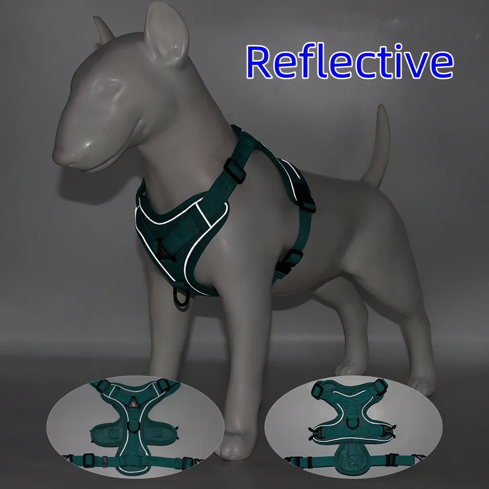 Dog Harness And Leash Set For Comfortable Walking And Reduced Pulling