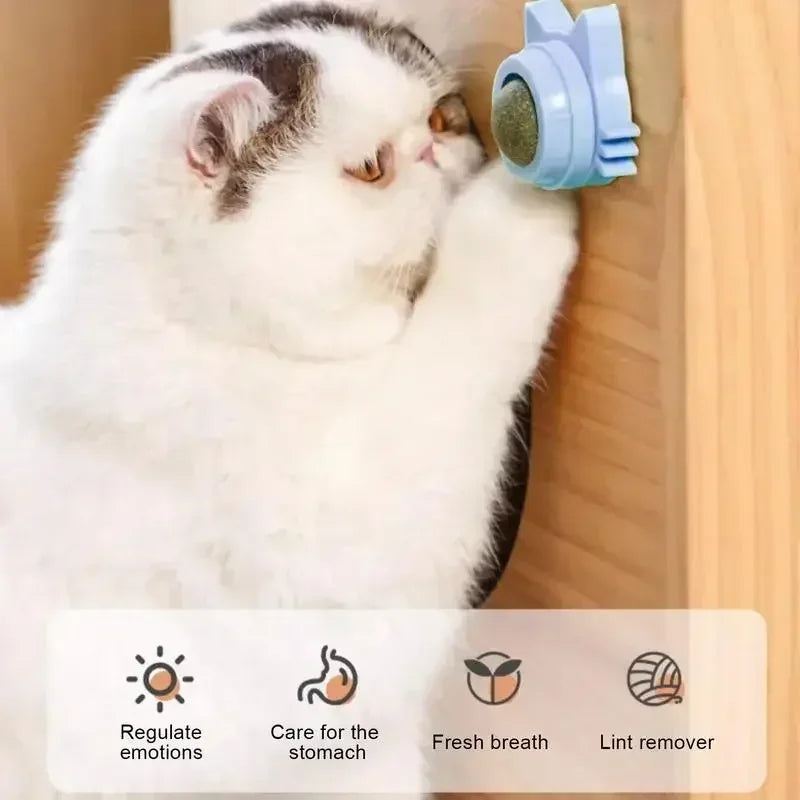 Catnip Balls For Cats Lickable Chew Toy And Teeth Cleaning Snack