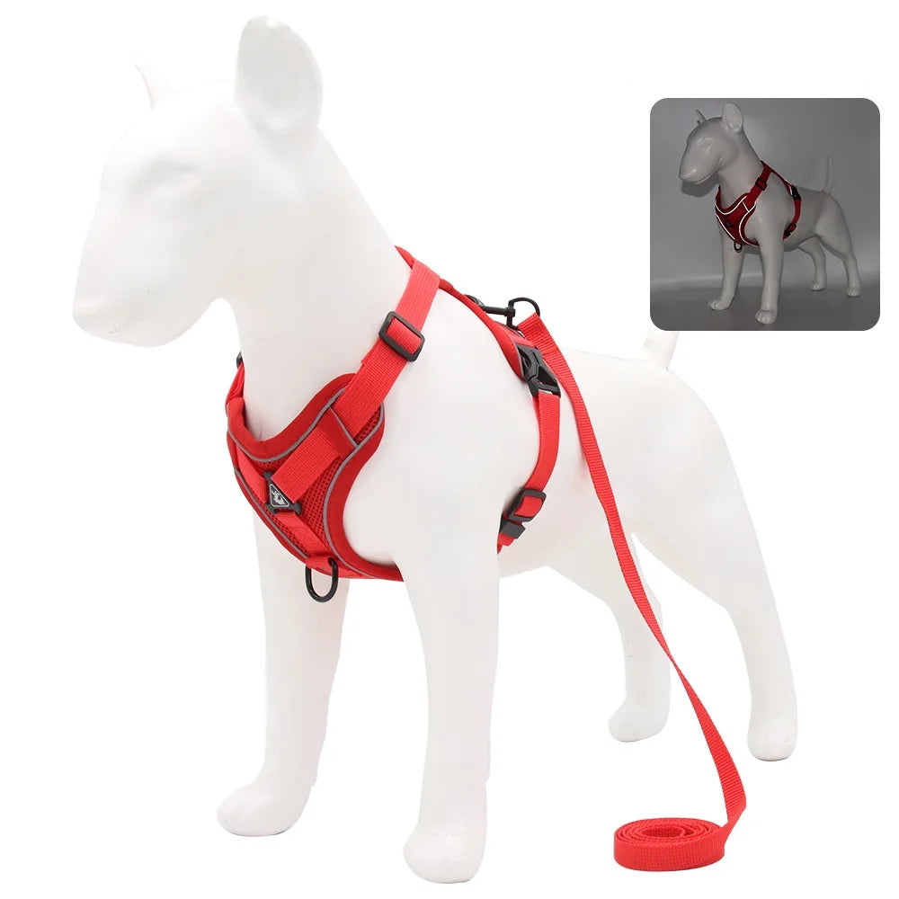 Dog Harness And Leash Set For Comfortable Walking And Reduced Pulling