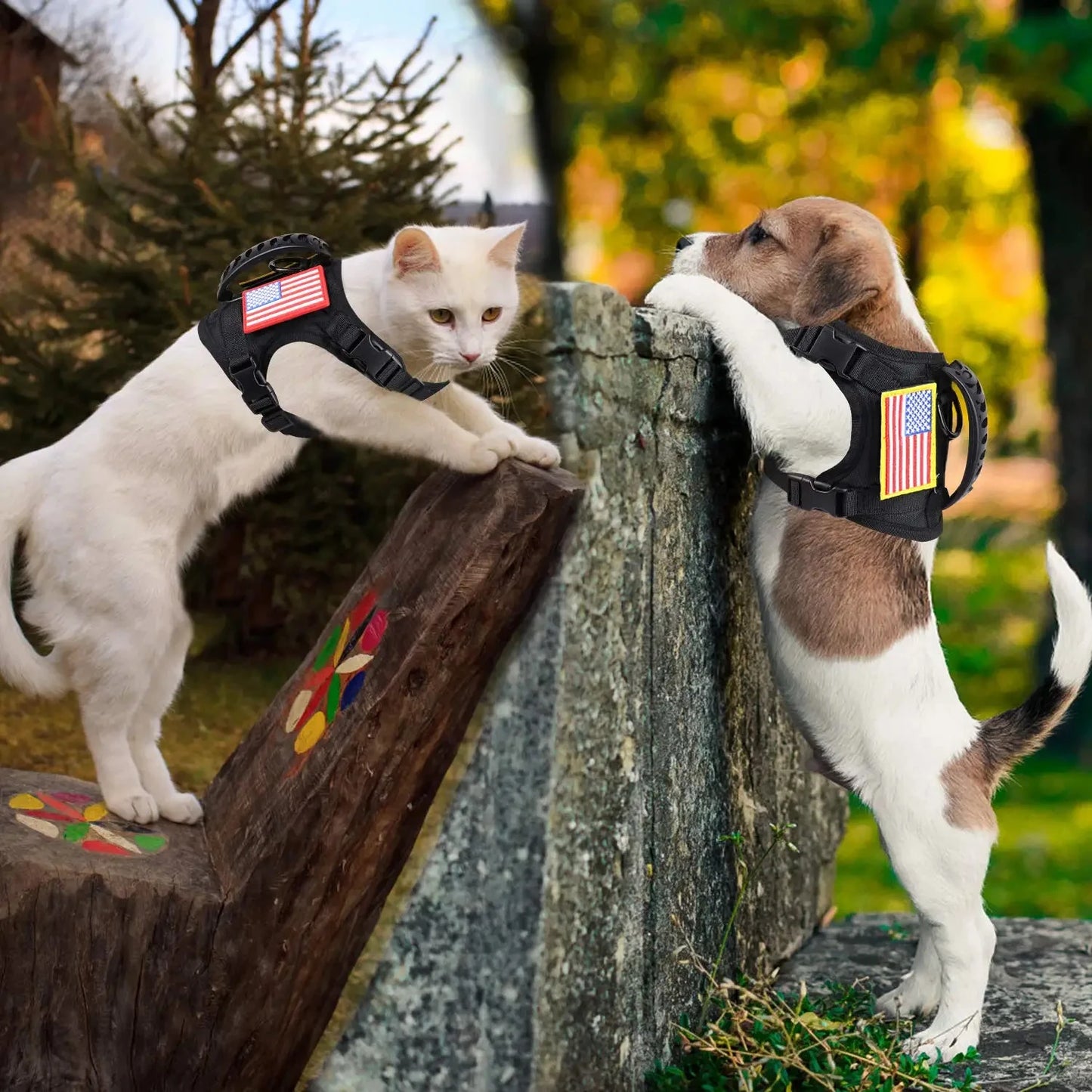 Tactical Puppy Harness Leash Set For Small Dogs and Kitties,  Adjustable Harness Vest For Training when Walking