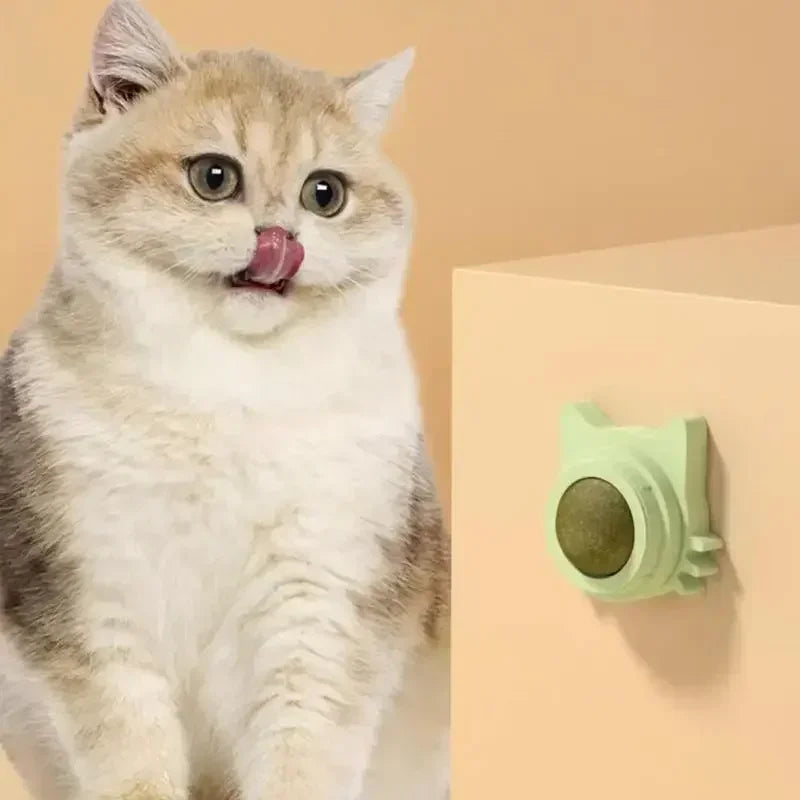 Catnip Balls For Cats Lickable Chew Toy And Teeth Cleaning Snack