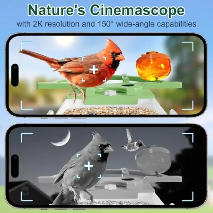 Smart Bird Feeder With Camera Identifies Bird Species. Live HD Video with Solar Power
