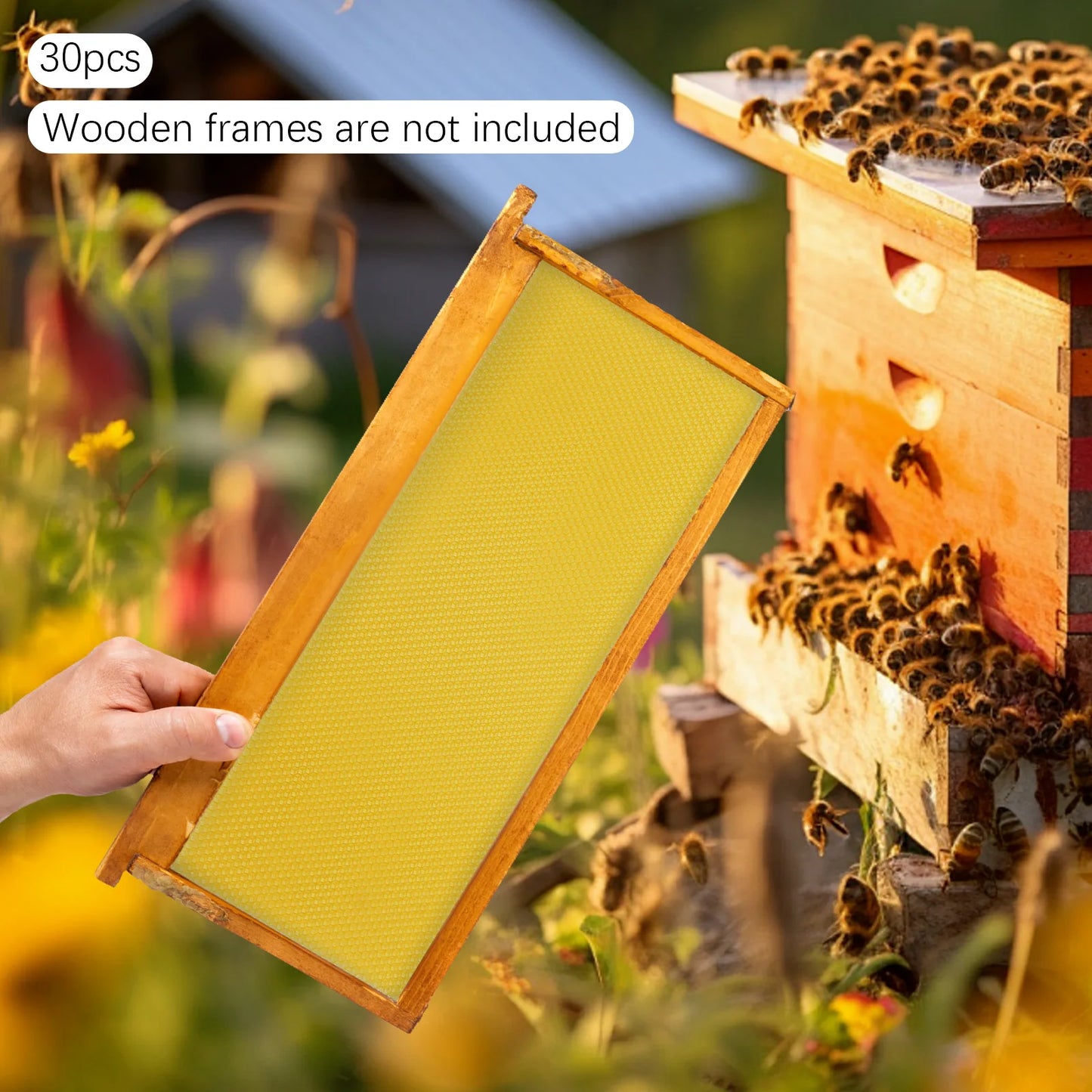 Natural Beeswax Hive Foundations 30 Pack For Beekeeping Starter Kit