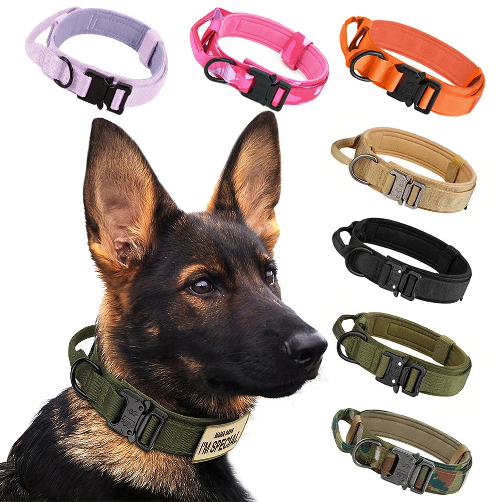 Nylon Dog Training Collar And Leash Set Adjustable For Dogs