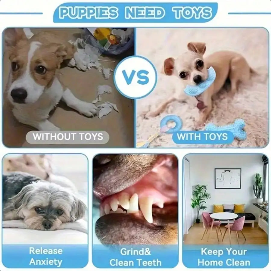 Dog Toy Set Four Or Eightpcs Premium Chew Rope Ball