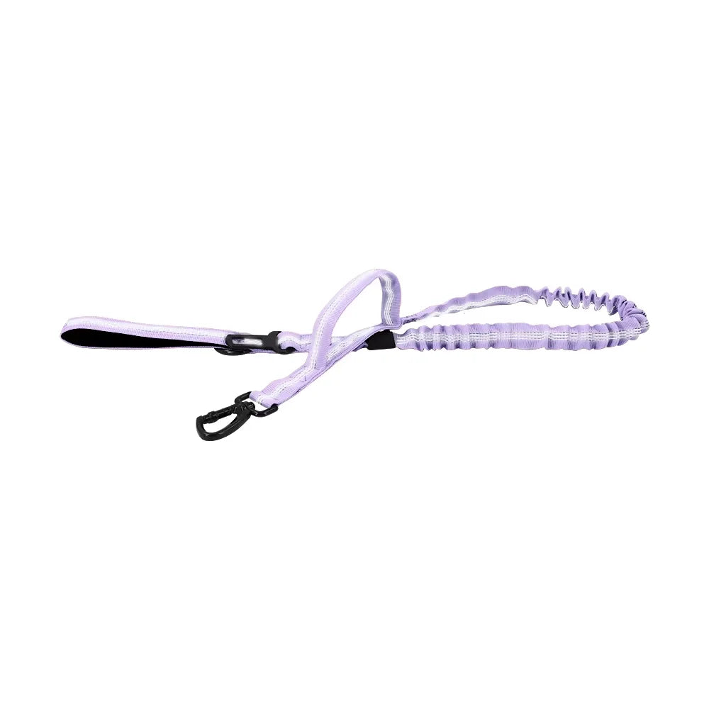 Retractable Dog Leash With Adjustable Elastic Rope And Dual Handles