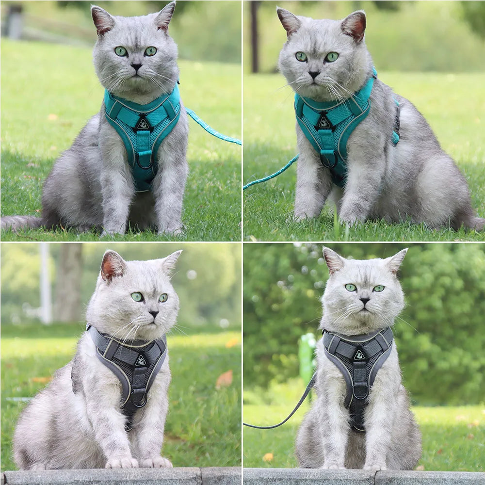 Dog Harness And Leash Set For Comfortable Walking And Reduced Pulling