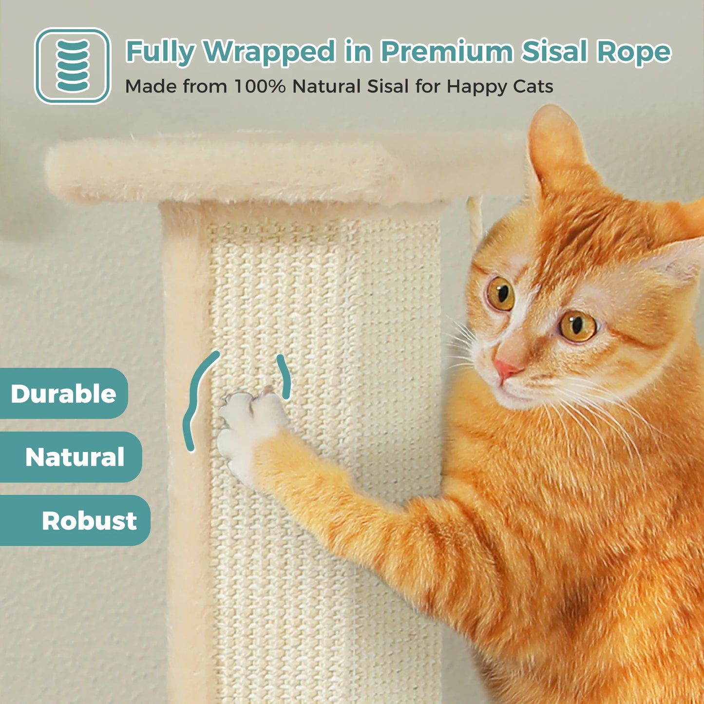 Large Cat Scratching Post for Indoor Cats for Indoor Exercise and Stimulation