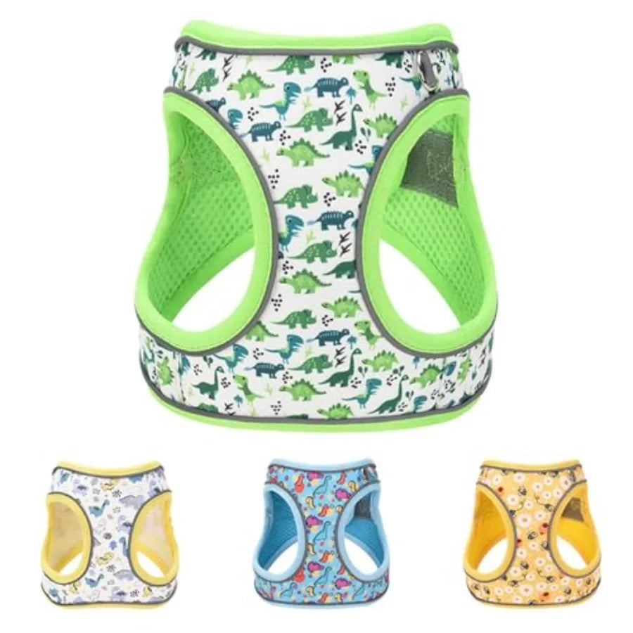 Step-In Dog Harness for No-Pull walks with cute Dinosaur Print and Leash