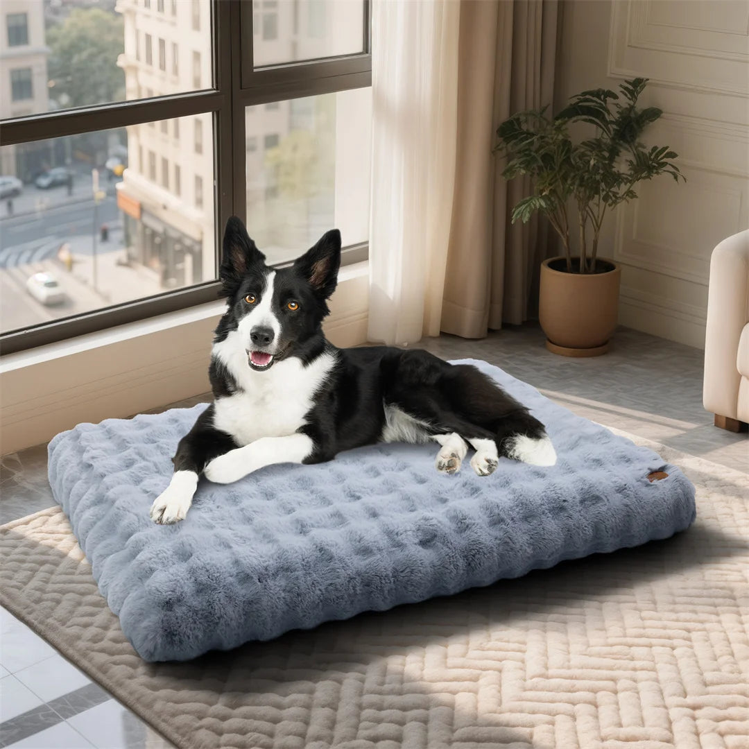Ultra-Soft Dog Bed with Removable Cover, Machine Washable, Cozy Calming Pet Cushion