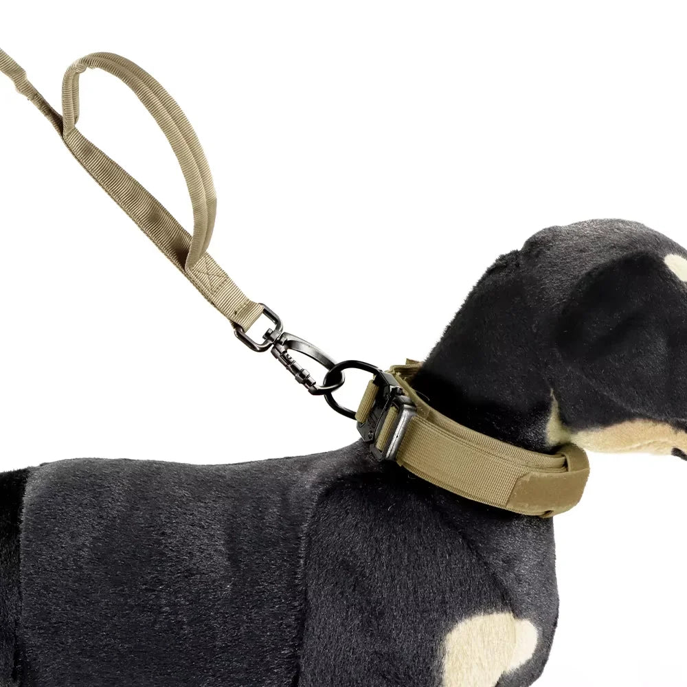 Retractable Dog Leash With Adjustable Elastic Rope And Dual Handles