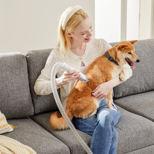 2.5L Professional Pet Grooming Vacuum Kit, 3 Suction Modes and 5 Groomer Tools with Cordless Low Noise Pet Clippers