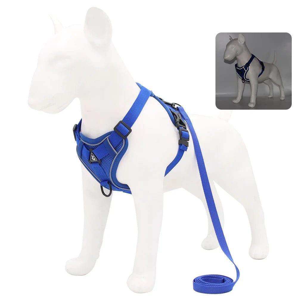 Dog Harness And Leash Set For Comfortable Walking And Reduced Pulling