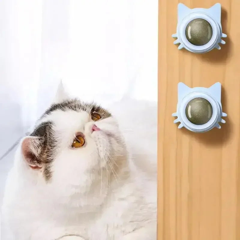 Catnip Balls For Cats Lickable Chew Toy And Teeth Cleaning Snack