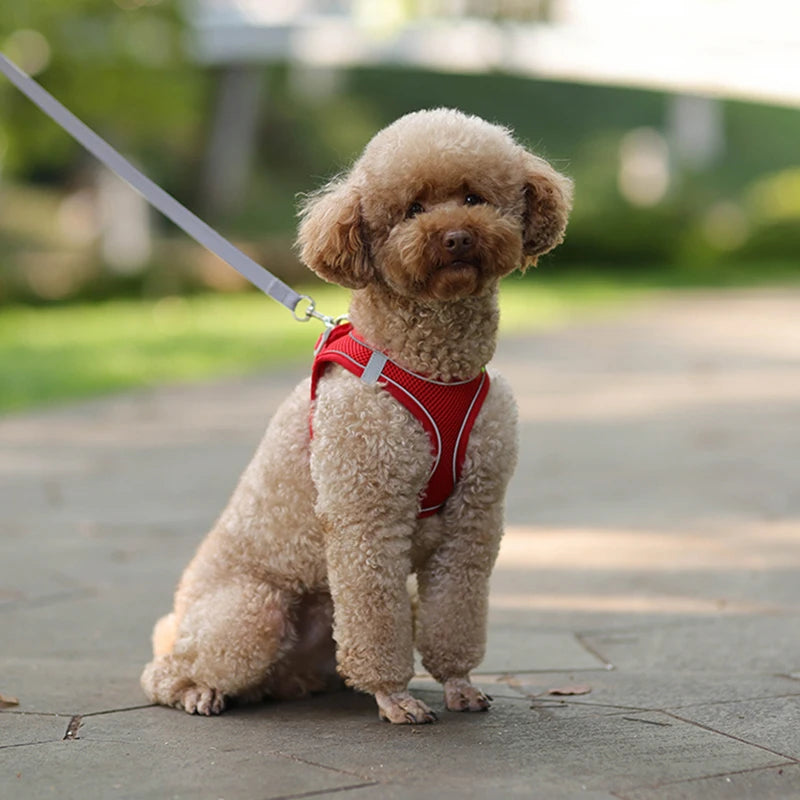 Dog Harness And Leash Set For Dogs, Soft Breathable Nylon, Reflective adds to Pet Safety