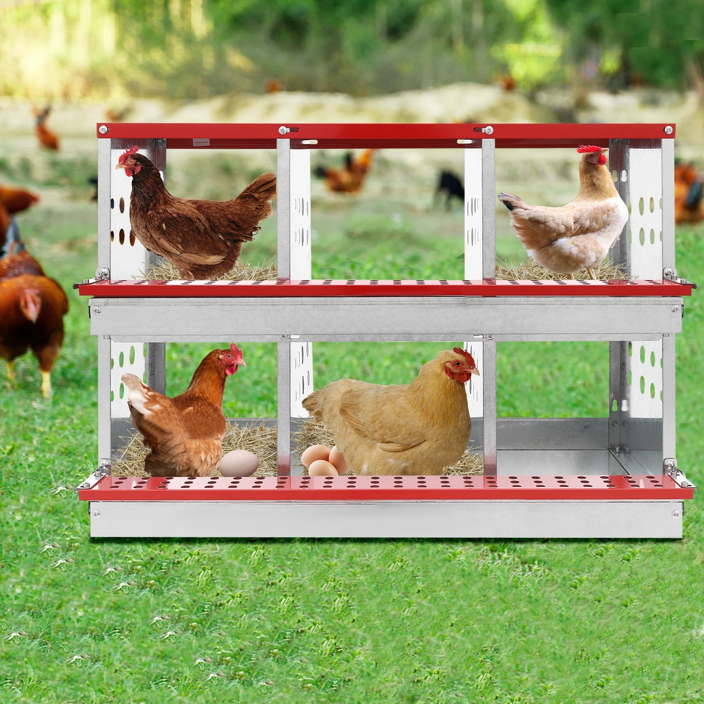 Two Tier Metal Chicken Nesting Boxes Galvanized Steel Six Compartments