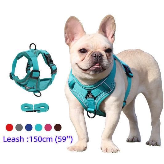 Dog Harness And Leash Set For Comfortable Walking And Reduced Pulling