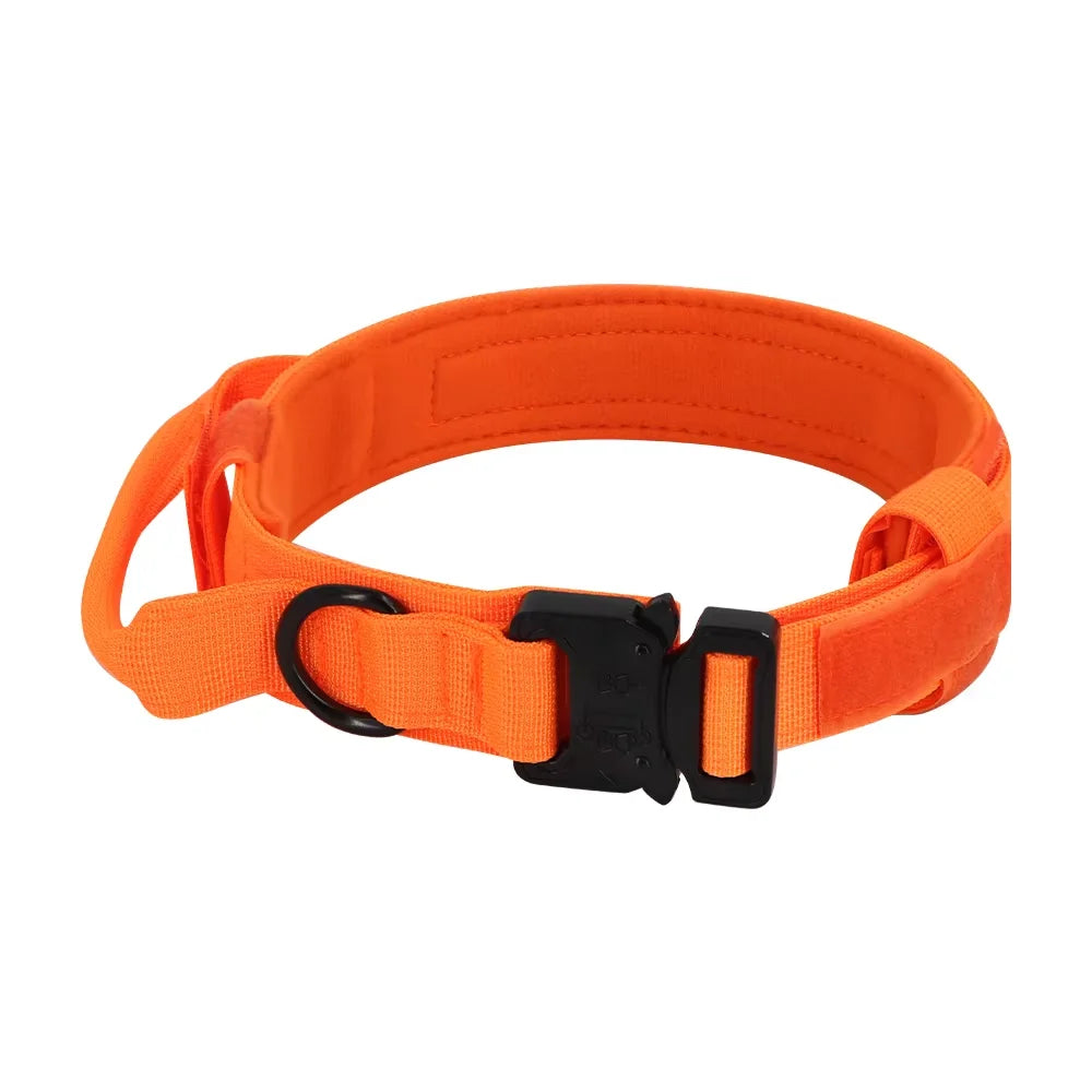 Nylon Dog Training Collar And Leash Set Adjustable For Dogs