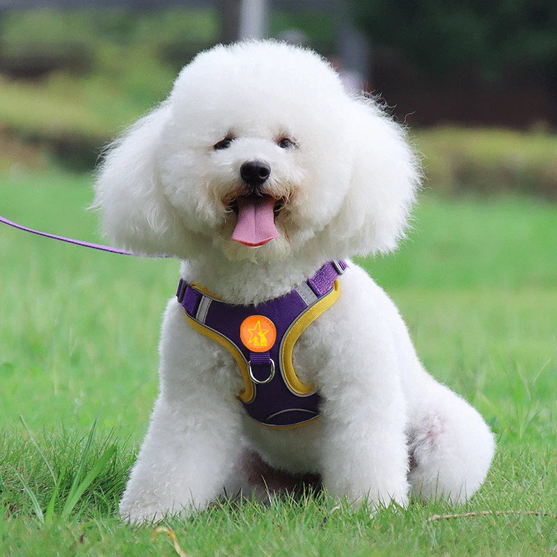 Dog Harness With Reflective Straps Soft Mesh Breathable Comfort Walking