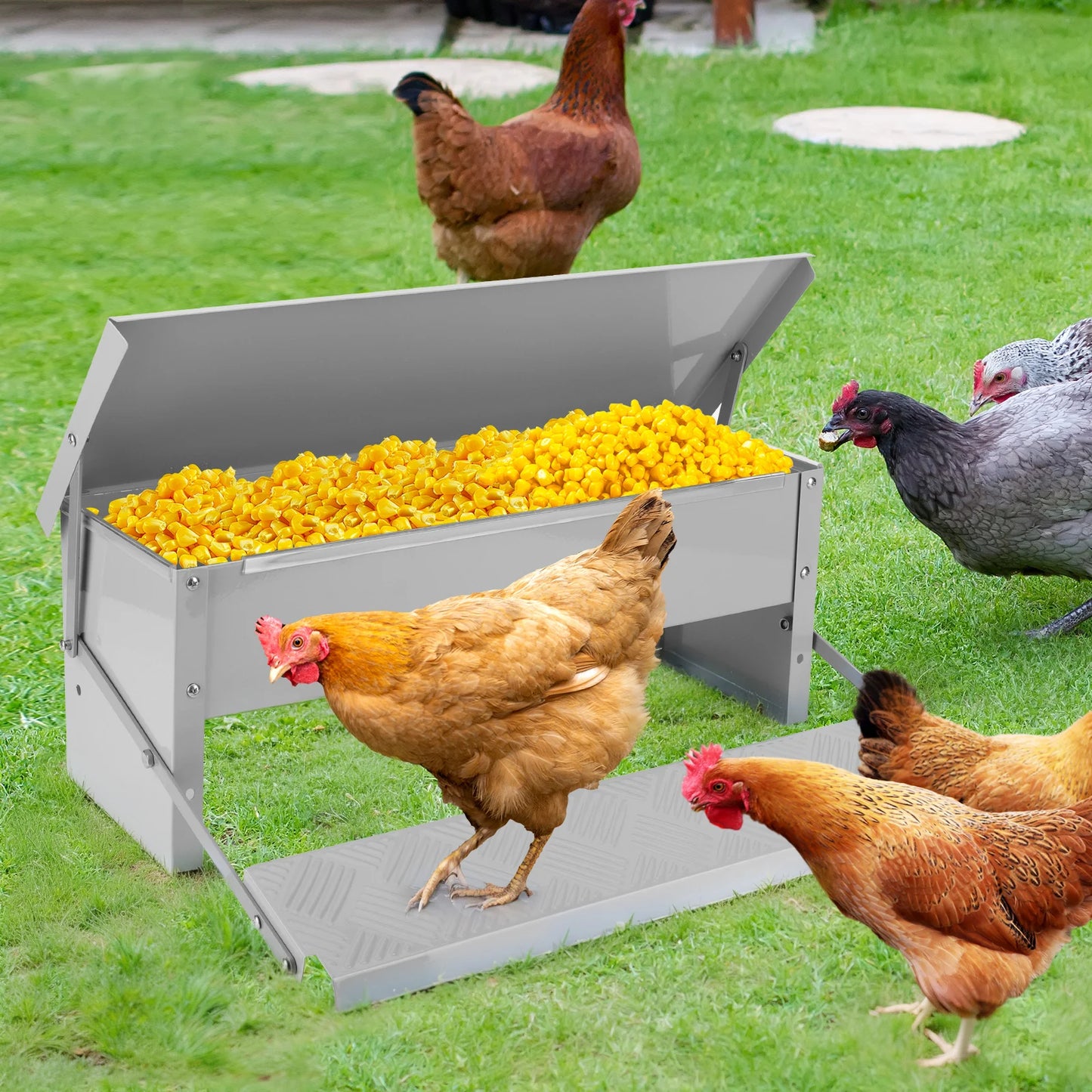 Automatic No Waste Treadle Chicken Feeder With Weatherproof Lid