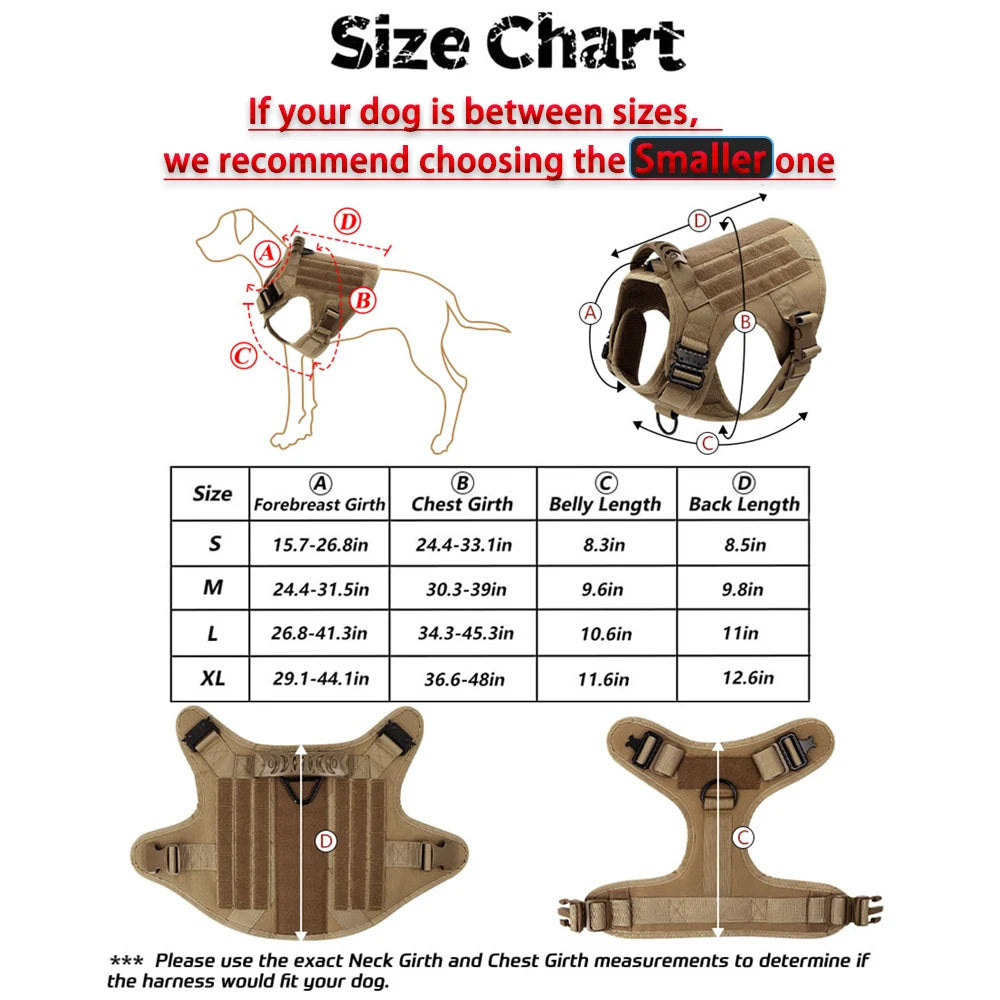 Large Dog Harness, Collar And Leash Set for Training, Walking and Carrying Gear. For Medium to Large Dogs
