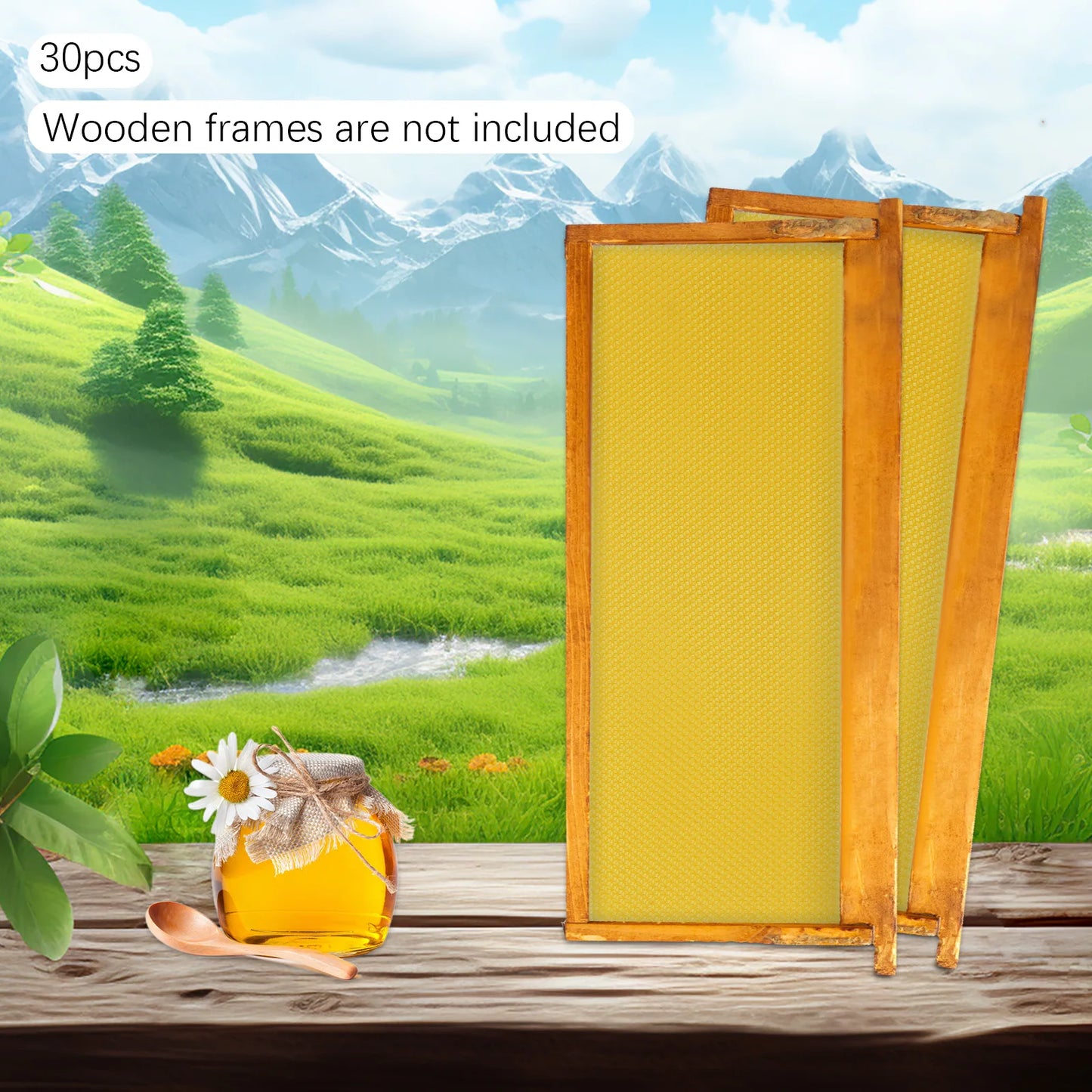 Natural Beeswax Hive Foundations 30 Pack For Beekeeping Starter Kit