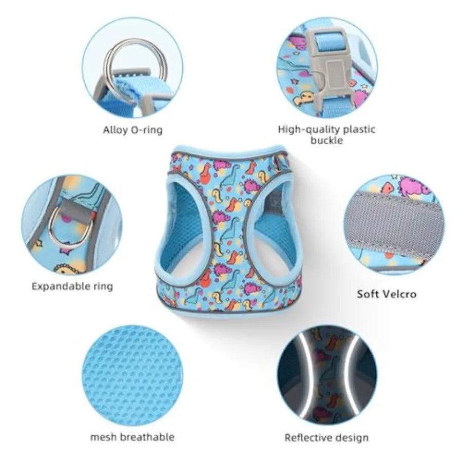 Step-In Dog Harness for No-Pull walks with cute Dinosaur Print and Leash