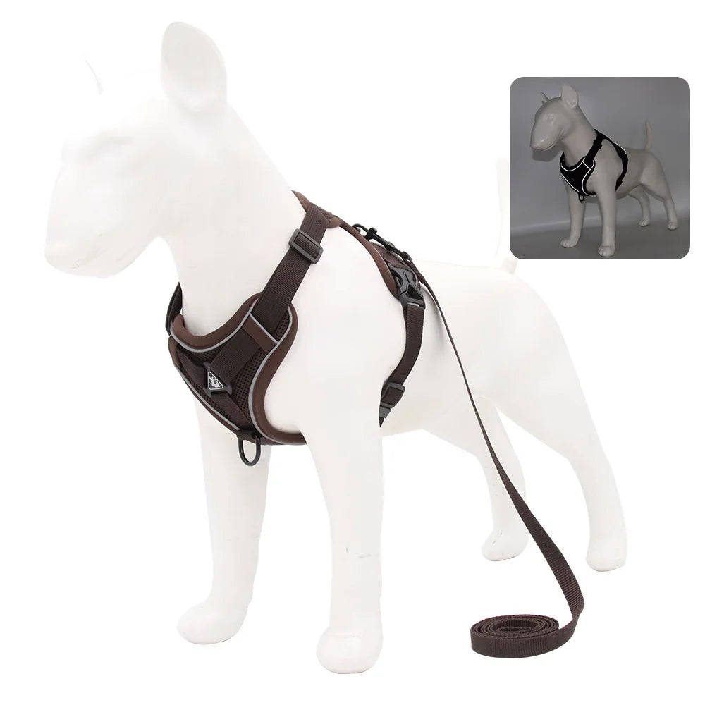 Dog Harness And Leash Set For Comfortable Walking And Reduced Pulling