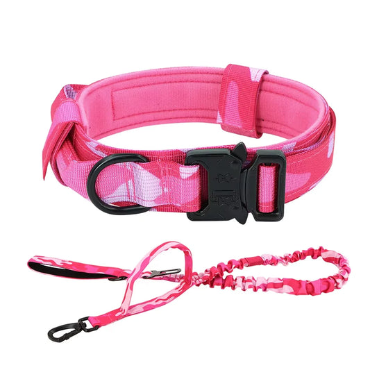 Nylon Dog Training Collar And Leash Set Adjustable For Dogs