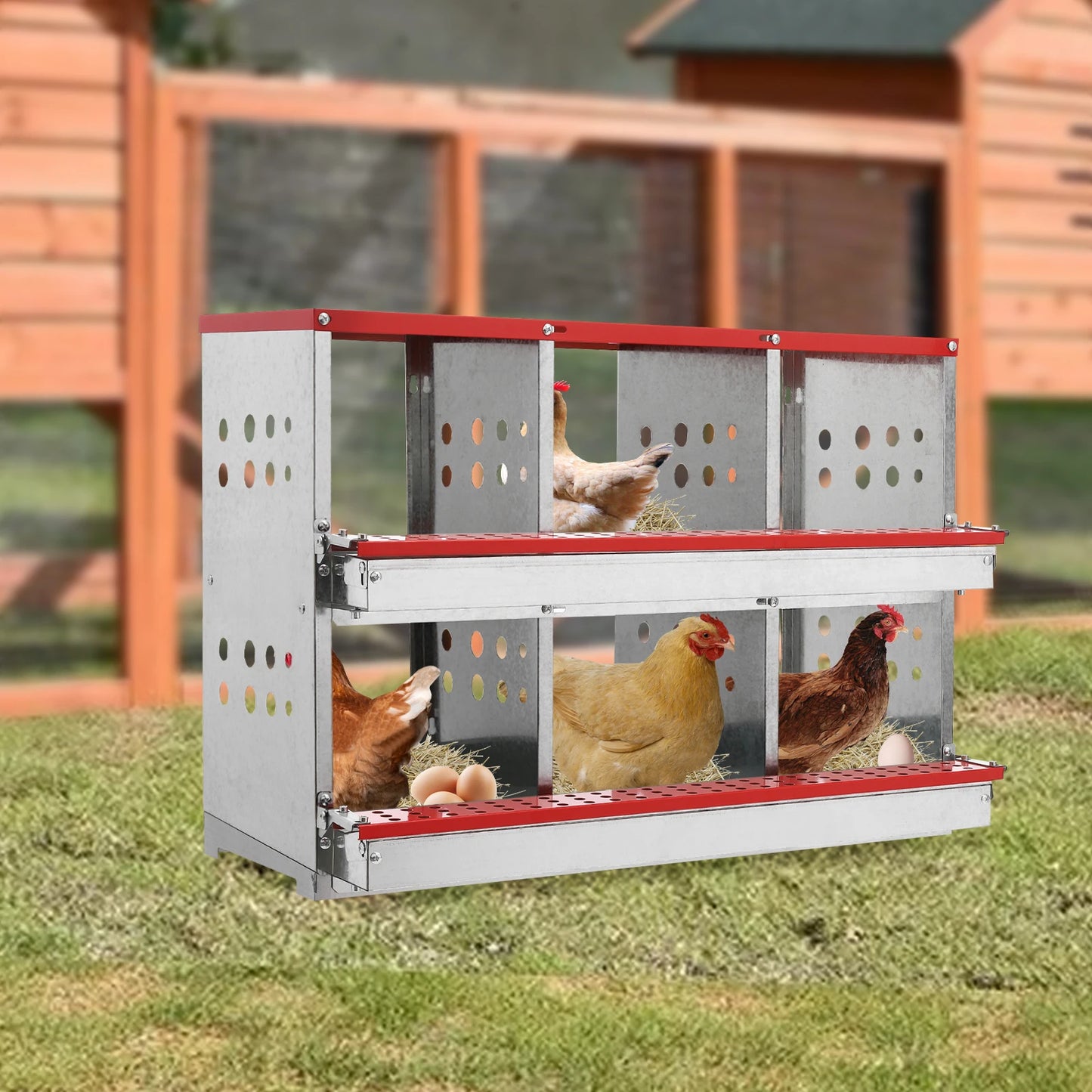 Two Tier Metal Chicken Nesting Boxes Galvanized Steel Six Compartments