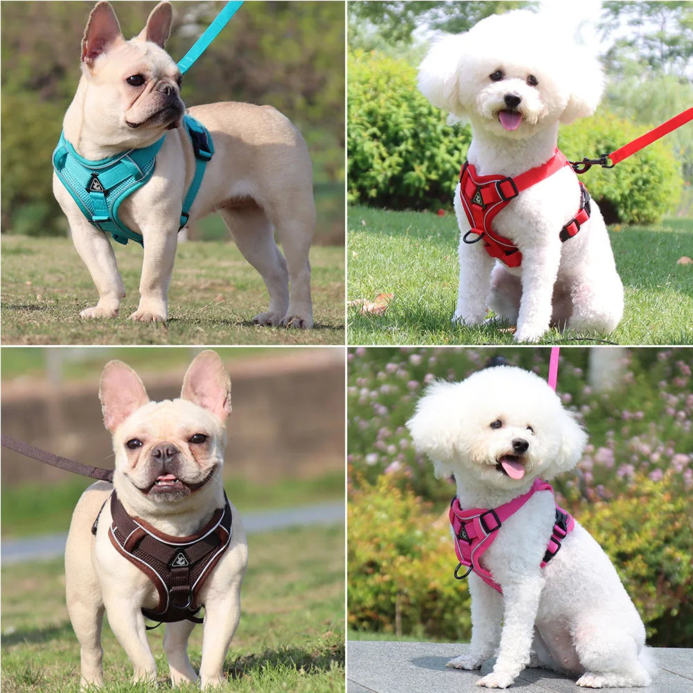 Dog Harness And Leash Set For Comfortable Walking And Reduced Pulling