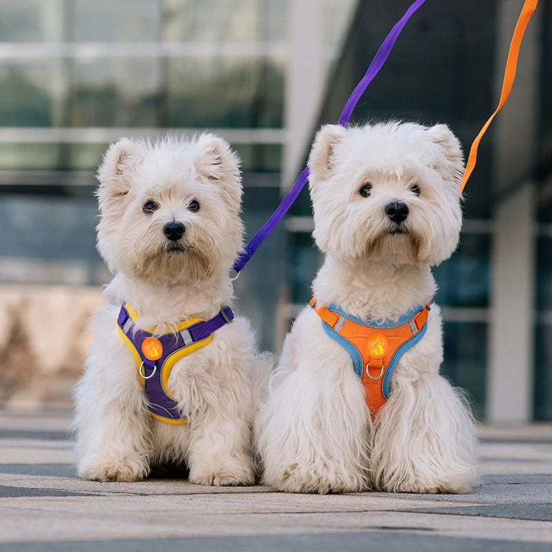 Dog Harness With Reflective Straps Soft Mesh Breathable Comfort Walking
