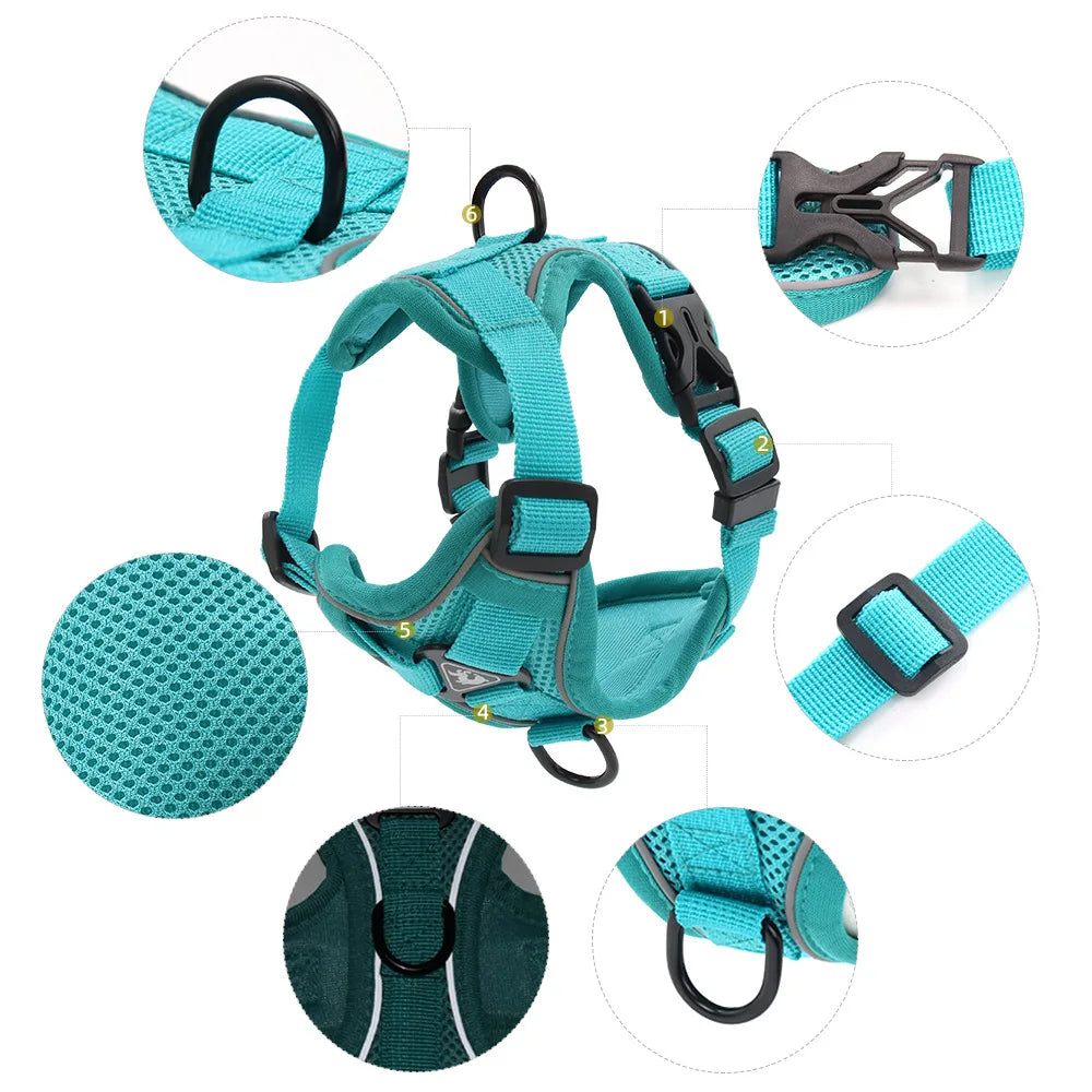 Dog Harness And Leash Set For Comfortable Walking And Reduced Pulling