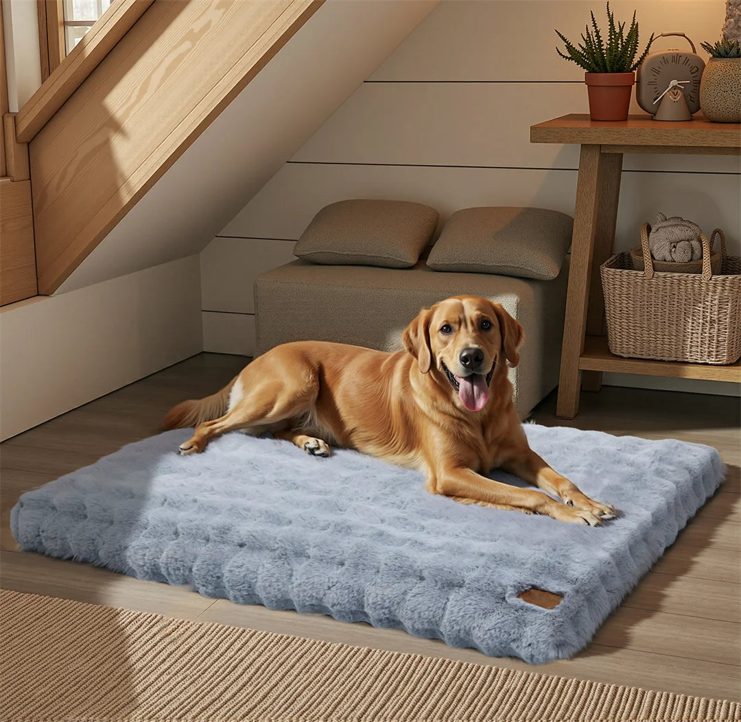 Ultra-Soft Dog Bed with Removable Cover, Machine Washable, Cozy Calming Pet Cushion
