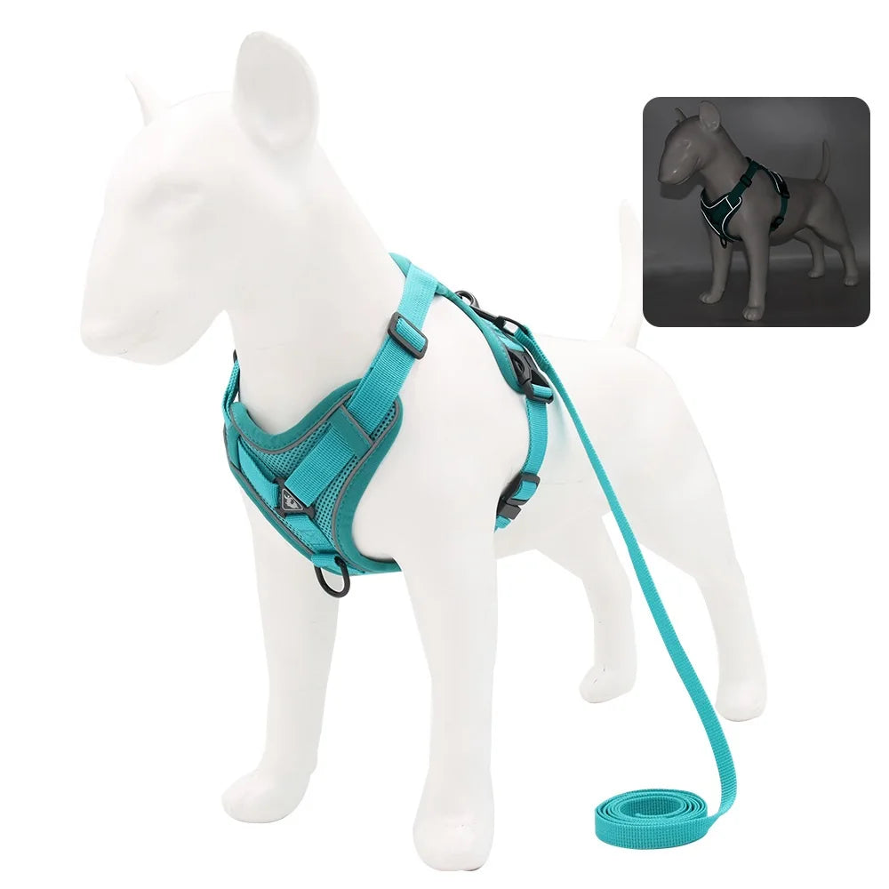 Dog Harness And Leash Set For Comfortable Walking And Reduced Pulling