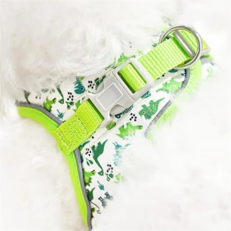 Step-In Dog Harness for No-Pull walks with cute Dinosaur Print and Leash