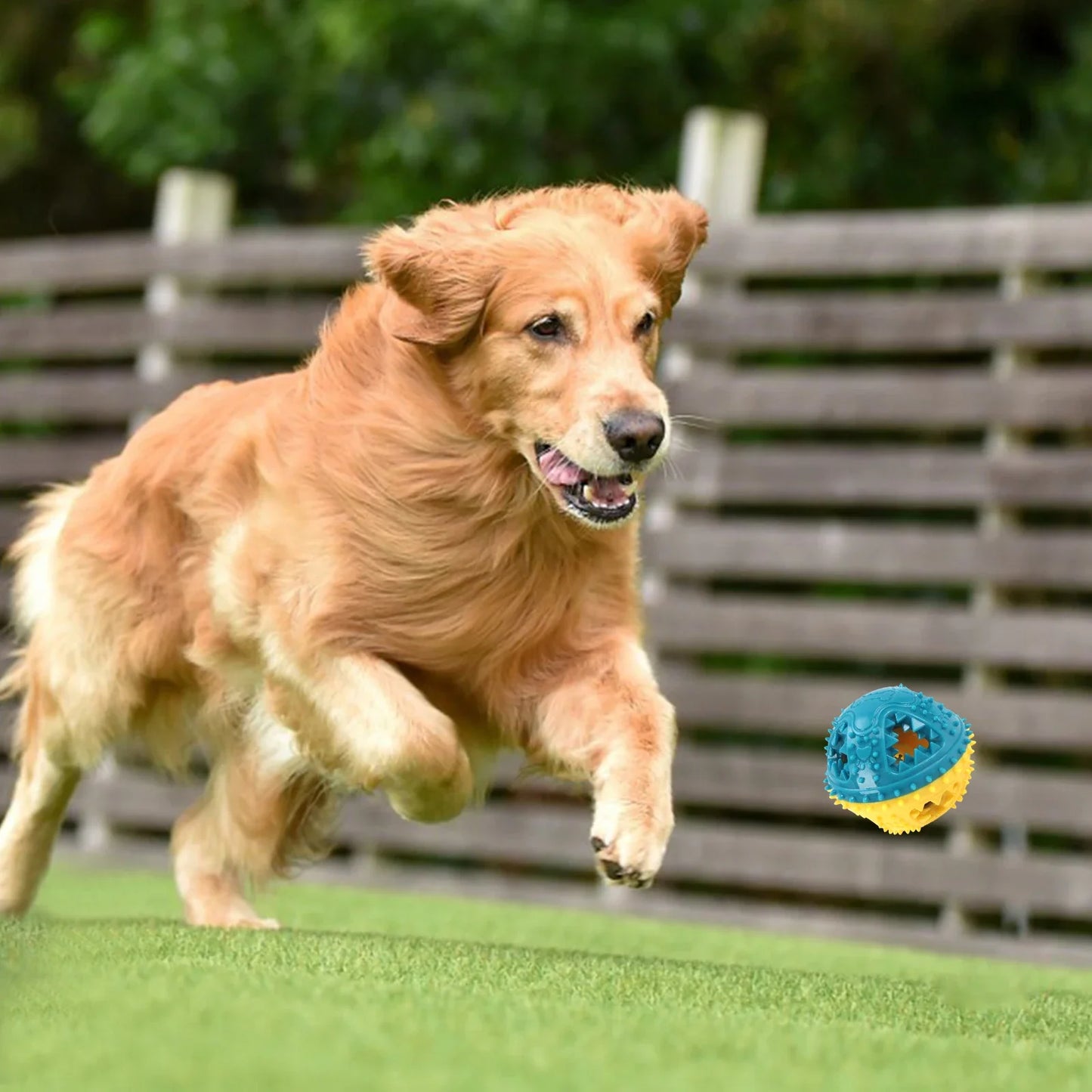 COOLPLAY Dog Chew Toys Anti Bite Interactive Teeth Cleaning Ball