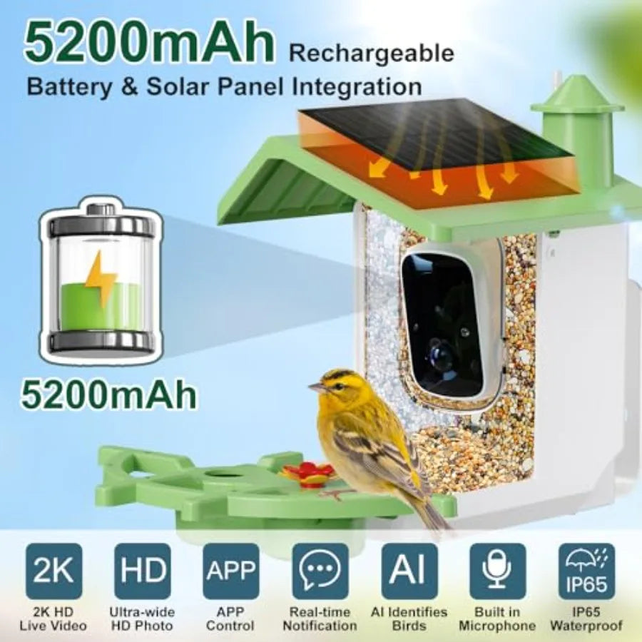 Smart Bird Feeder With Camera Identifies Bird Species. Live HD Video with Solar Power