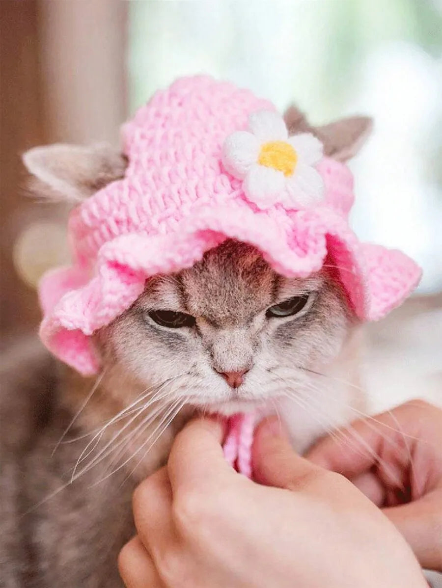 Knitted Pet Hat with Floral Trim for Small Dogs and Cats. Keeping your Critters Stylish!