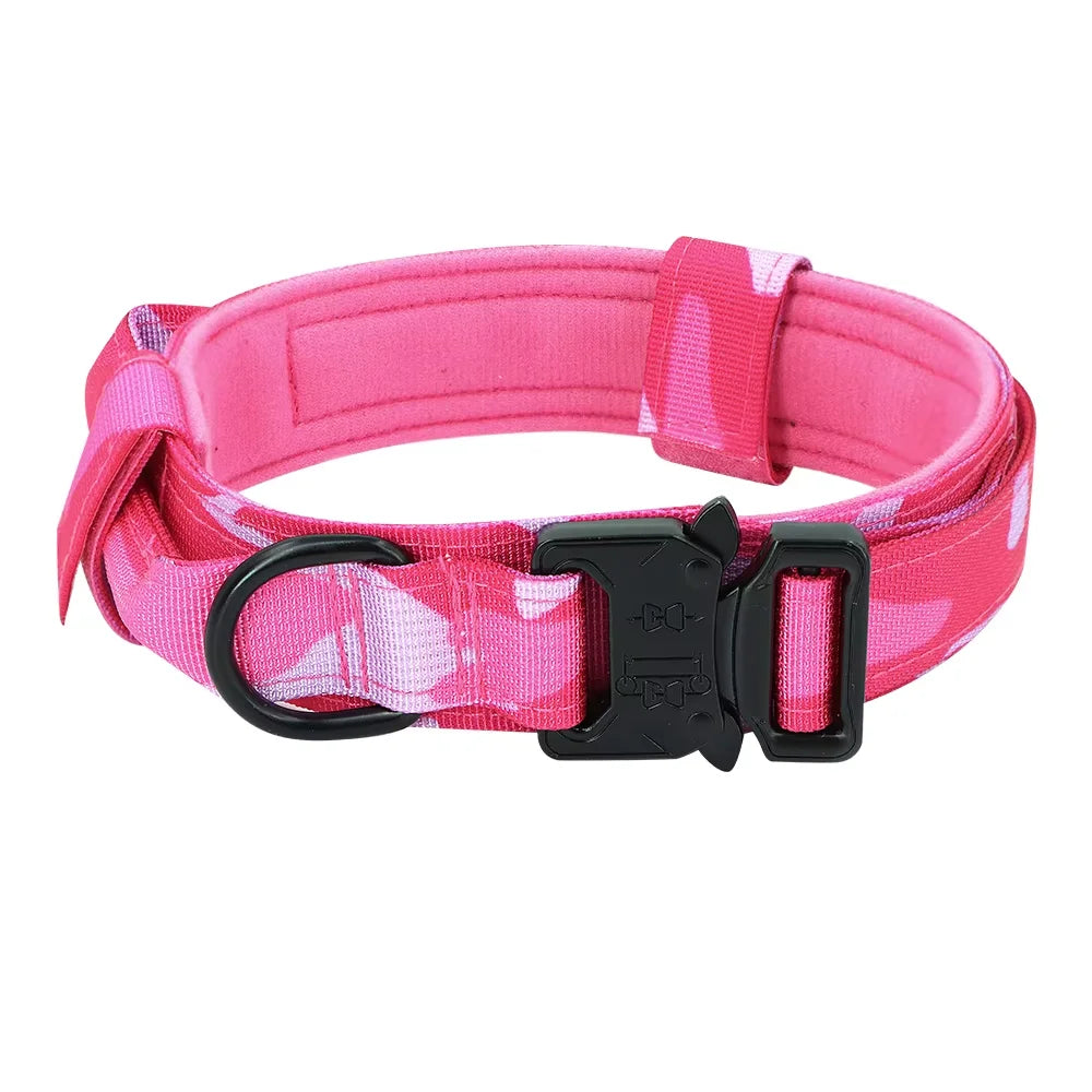 Nylon Dog Training Collar And Leash Set Adjustable For Dogs
