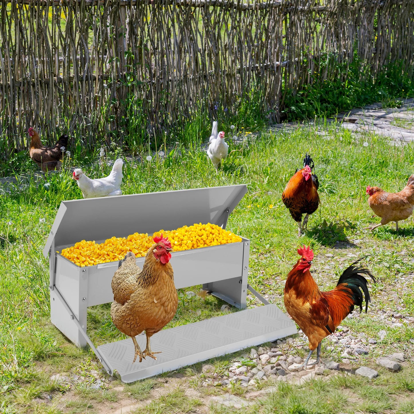 Automatic No Waste Treadle Chicken Feeder With Weatherproof Lid