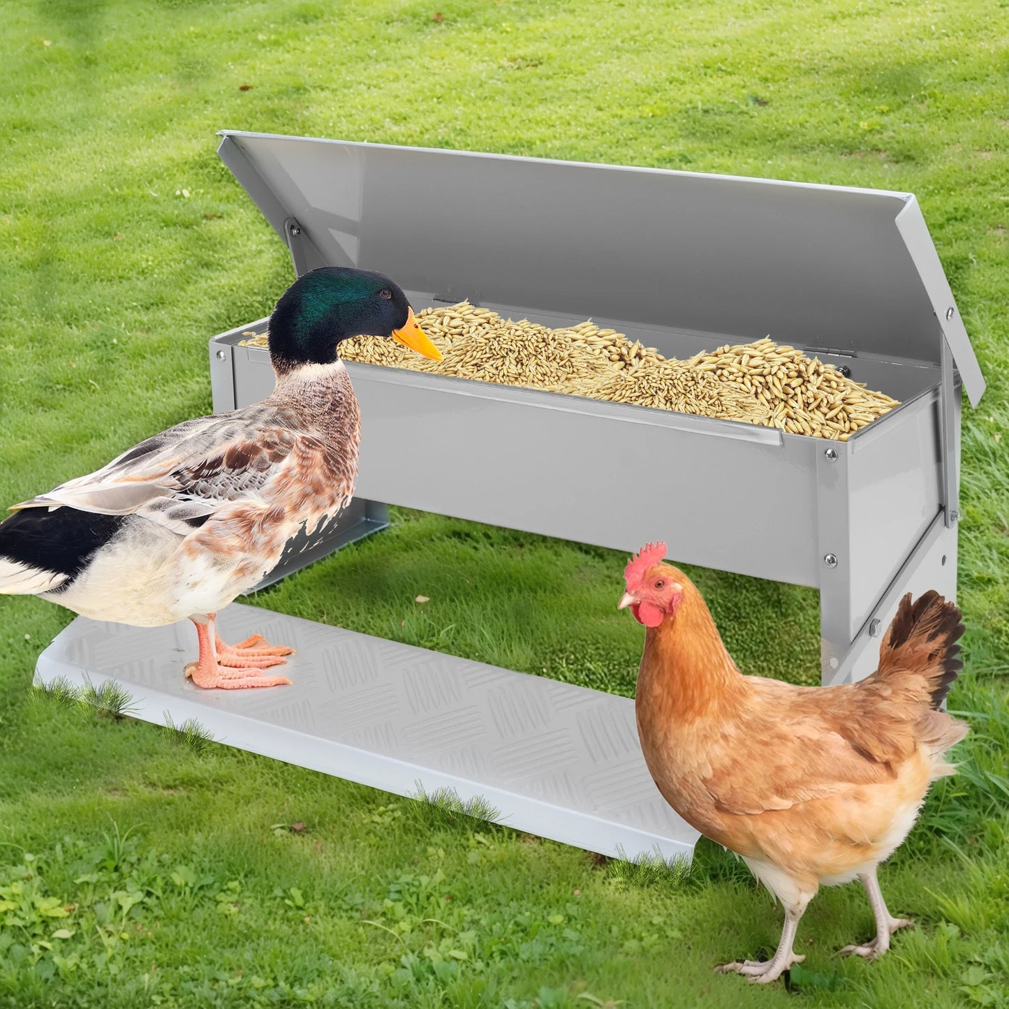 Automatic No Waste Treadle Chicken Feeder With Weatherproof Lid