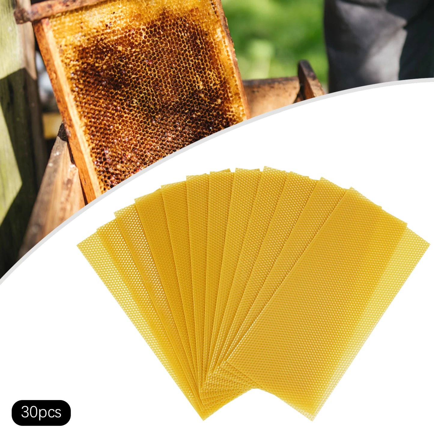 Natural Beeswax Hive Foundations 30 Pack For Beekeeping Starter Kit