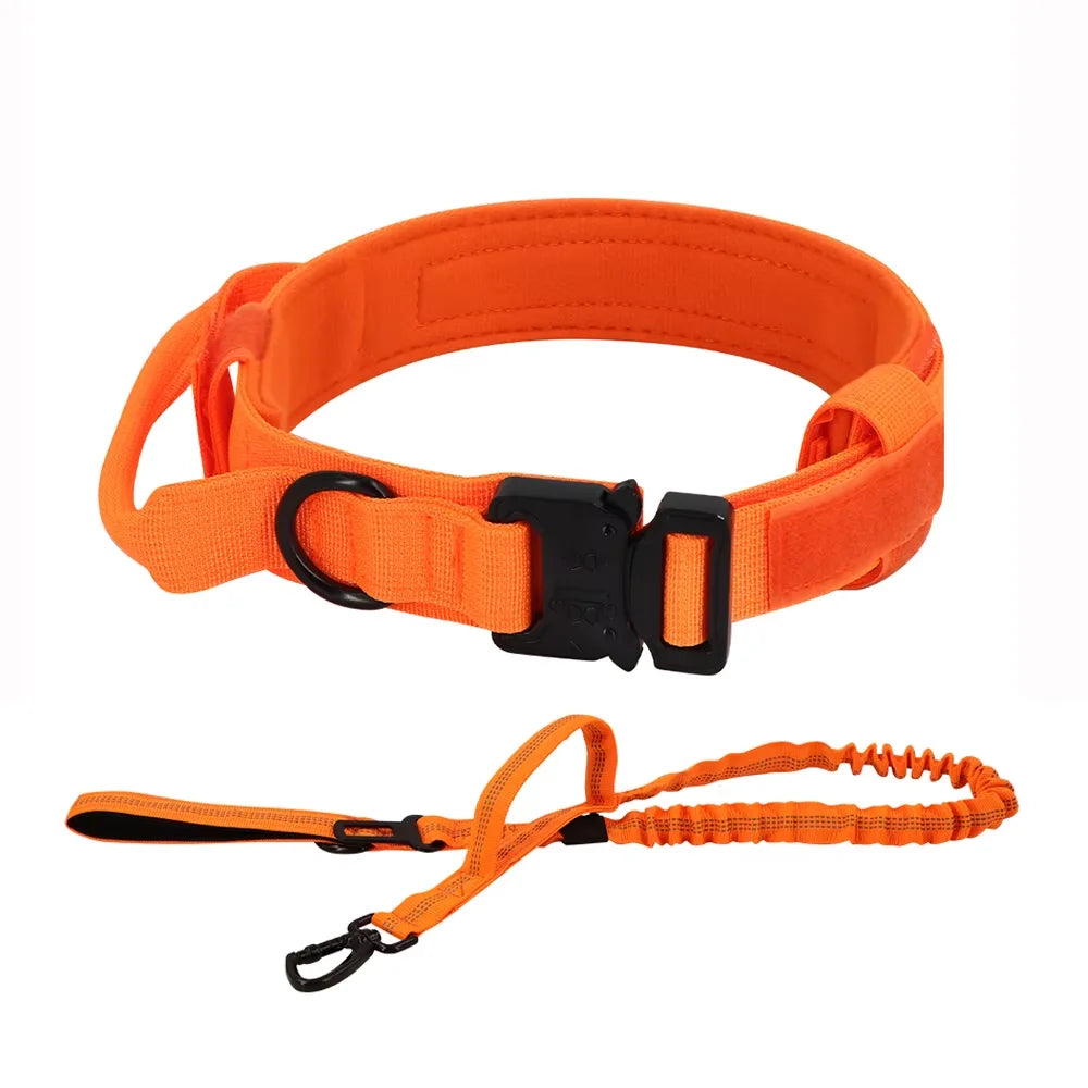 Nylon Dog Training Collar And Leash Set Adjustable For Dogs